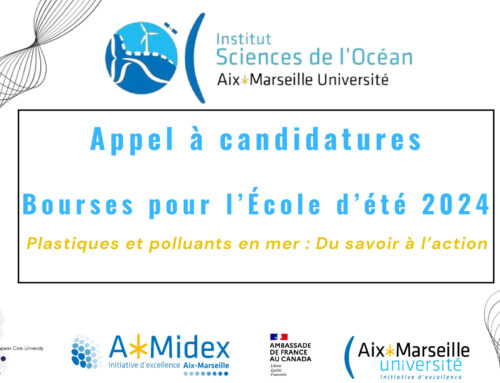 Appel à candidatures – bourses pour l’école d’été 2024 « Plastiques et polluants en mer : du savoir à l’action | Aix-Marseille Université